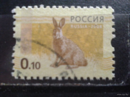 Россия 2008 Заяц 10 коп