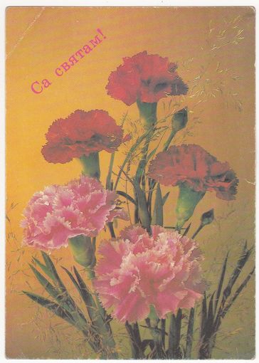 Открытка 1992 (503)