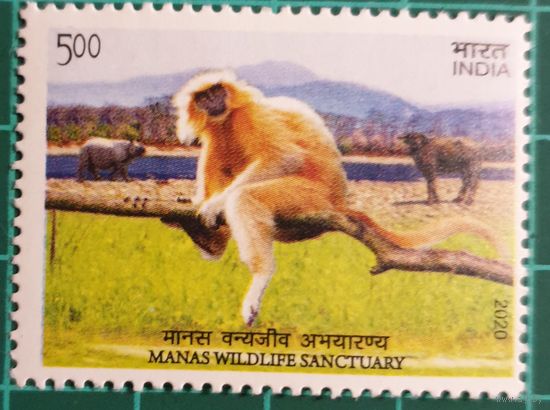 2020 Объекты всемирного наследия ЮНЕСКО в Индии