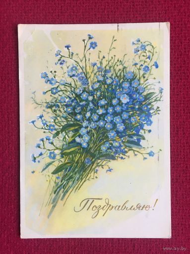 Поздравляю! Незабудки. Мухин 1965 г.