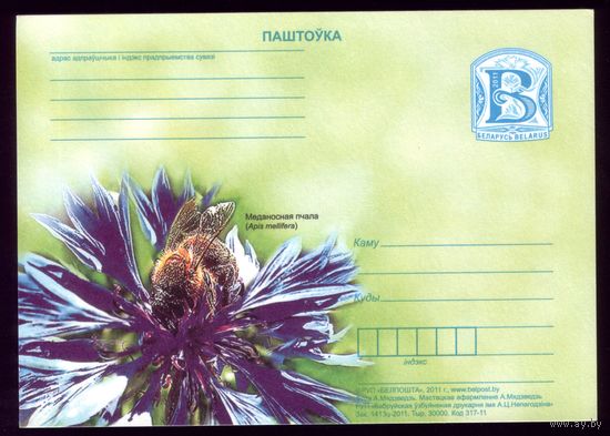 2011 год Пчела