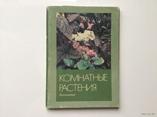 Фото А. Терзиева.	"Комнатные растения. Бегониевые".  16 открыток-фото. 150х100 мм.