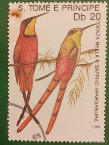 Сан Томе и Принсипи 1989. Фауна. Птицы. Topaza Bella e Sappho Sparganura