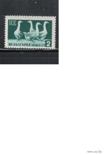 Болгария-1955, (Мих.935),   * , Фауна, Гуси