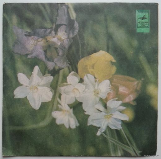 ЕР Владимир ЯКОВЛЕВ (домра) (1968)