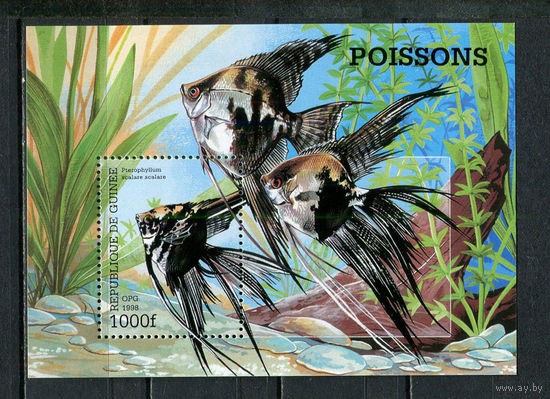 Гвинея - 1998 - Рыбки - [Mi. bl. 534] - 1 блок. MNH.  (Лот 35JC)-TG3P57