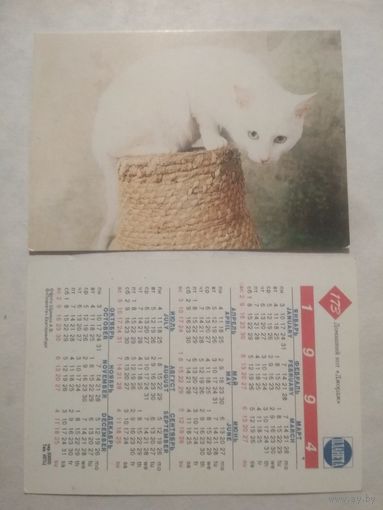 Карманный календарик. Котик.1994 год
