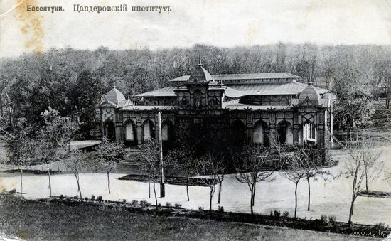 Открытка, почтовая карточка   до 1917г.  Ессентуки, Цандеровский институт