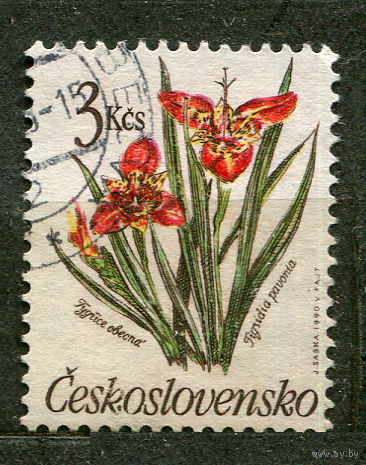Садовые цветы. Тигровая лилия. Чехословакия. 1990