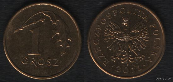 Польша y276 1 грош 2011 год (mw) (_alb2