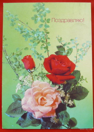 Поздравляю! Подписанная. 1990 года. Дергилева. # 154.
