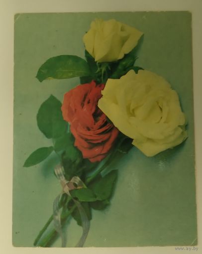 Открытка ,, поздравляю ! ,, 1986 г. чистая .миниформат