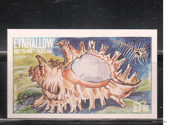 Эйнхаллоу(Шотландские ос-ва)-1979 , ** ,  Морская Фауна, Раковины