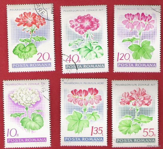 Румыния 1968 Цветы. Виды гераней