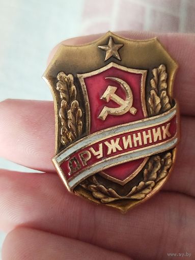 Дружинник