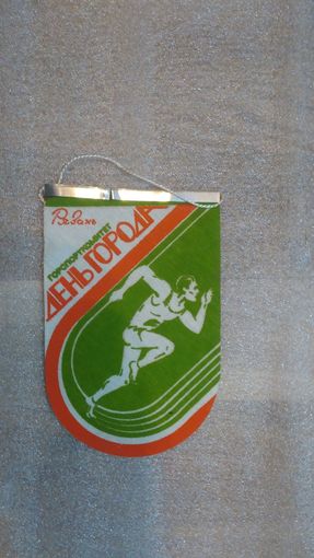 Вымпел спортивный