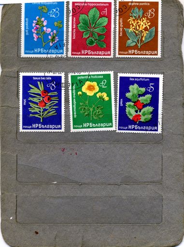БОЛГАРИЯ, 1976,  ЦВЕТВЫ, СЕРИЯ 6м  гашеная