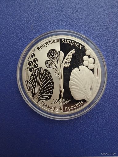 Беларусь 1 рубль 2014 года "Граздоўнiк просты / Гроздовник простой"