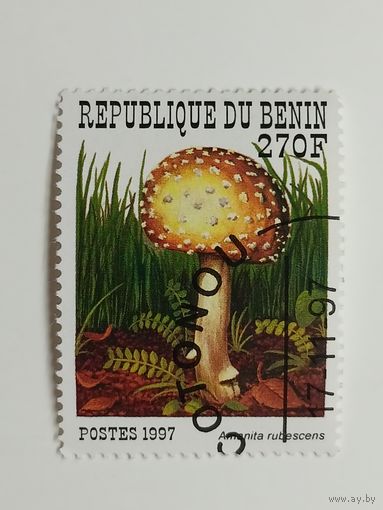 Бенин 1997. Грибы