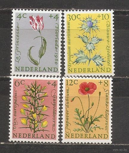 ФФ1 Нидерланды 1960 Цветы