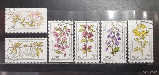 Германия. 1981 год. Флора. Цветы (1238)