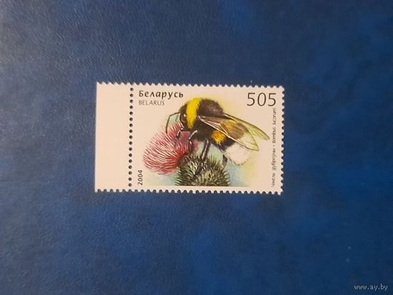 Беларусь 2004