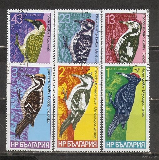 ФФ2 Болгария 1978 Дятлы гаш