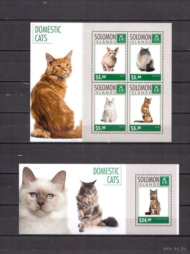 Соломоновы острова 2014 Фауна домашние кошки - 1 лист + 1 блок MNH**
