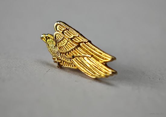 Десантные войска  знак Германия