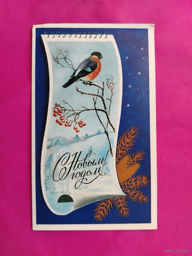 С новым годом! Чистая. Двойная. 1987 года. Кириллов. #62.