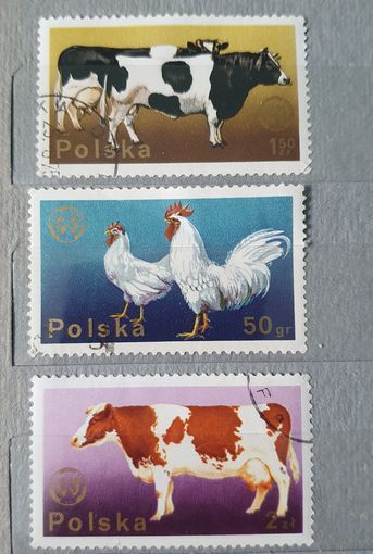 Польша домашние животные 3шт