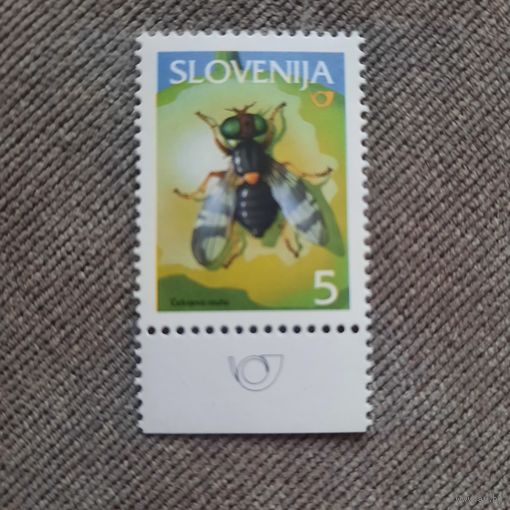 Словения. Муха