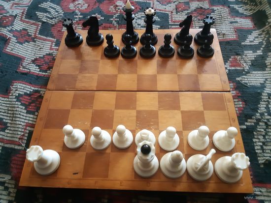 Шахматы СССР