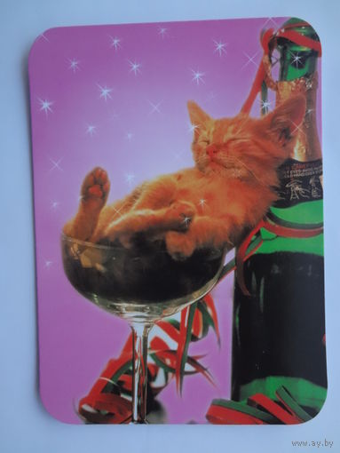 Календарик 2000 г. Праздник удался на славу.