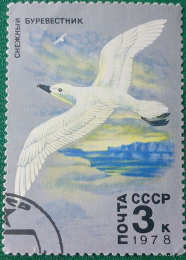 СССР 1978. Снежный буревестник