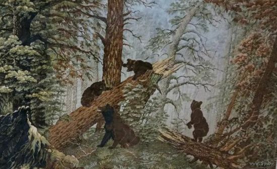 Мишки в лесу