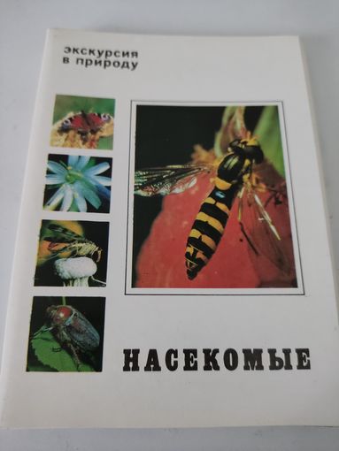 Набор  из 25 открыток "Экскурсия в природу. Насекомые" 1980г.