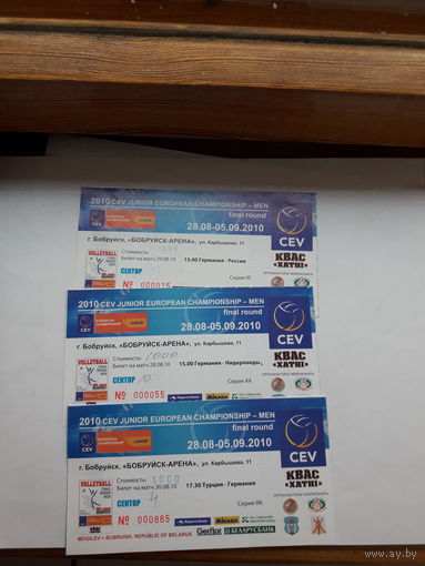 Входной билет Бобруйск Волейбол