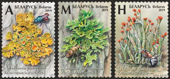 Лишайники Беларуси. Полная серия, 2019