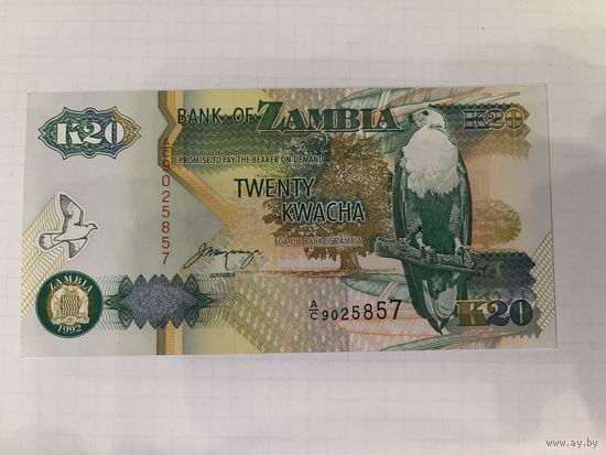 Бона 20 квачей Замбия