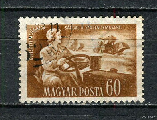 Венгрия - 1951 - Итоги пятилетки. Женщина за рулем трактора 60f - [Mi.1195] - 1 марка. Гашеная.  (Лот 14Ga)-T25P37