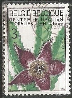 Бельгия. Выставка цветов. Стапелия. 1965г. Mi#1377.
