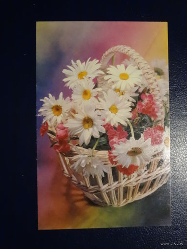 Ромашки в корзине.  1972 г.  подписанная.