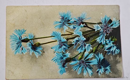 1908 год Либава Открытка