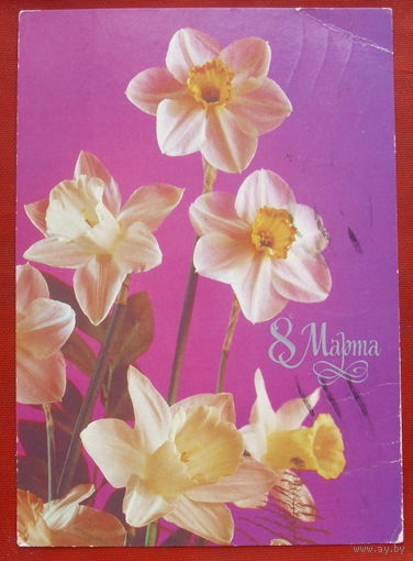 8 марта! Подписанная. 1988 года. Костенко. 226.