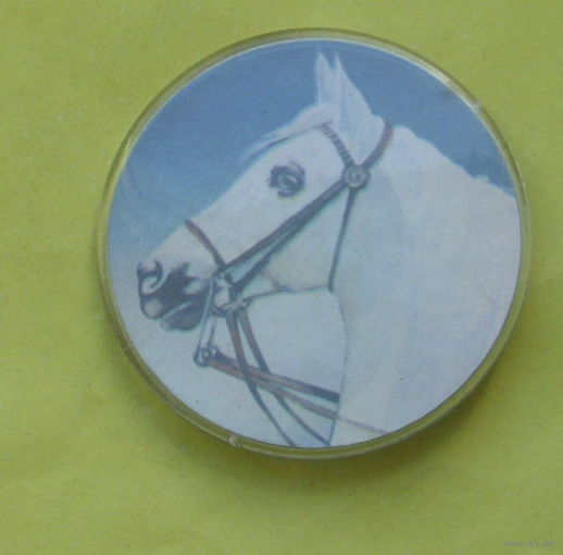 Лошадь. 4.