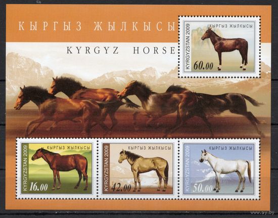 Киргизия 2009. Фауна. Лошади блок (228)