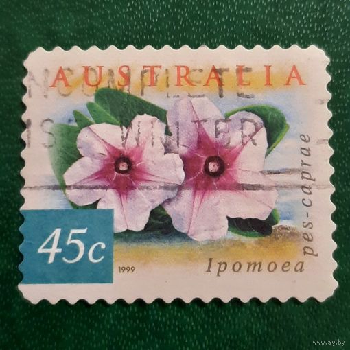 Австралия 1999. Флора. Ipomea Pes-Caprae