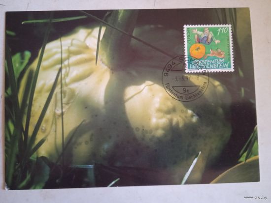 Сг тыква лихтенштейн