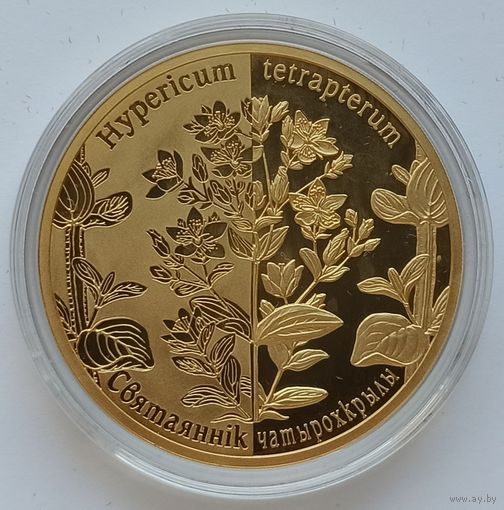Зверобой четырехкрылый, 20 рублей 2013, серебро, Ag 925, #BelCoinArt, позолота